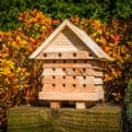 Thumbnail 4 - Interactive Solitary Bee Hive