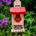 Thumbnail 4 - Interactive Ladybird Lodge