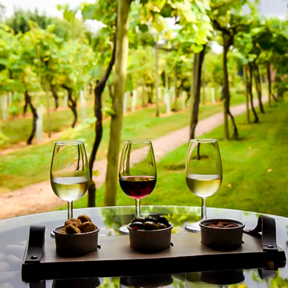 Activity Superstore Vineyard Tour And Tasting For Two At Stanlake Park Wine Estate