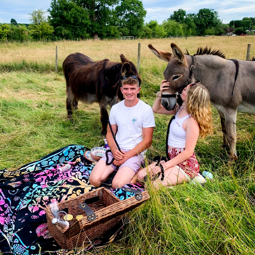 Activity Superstore Donkey Picnic For Two At Dashing Donkeys