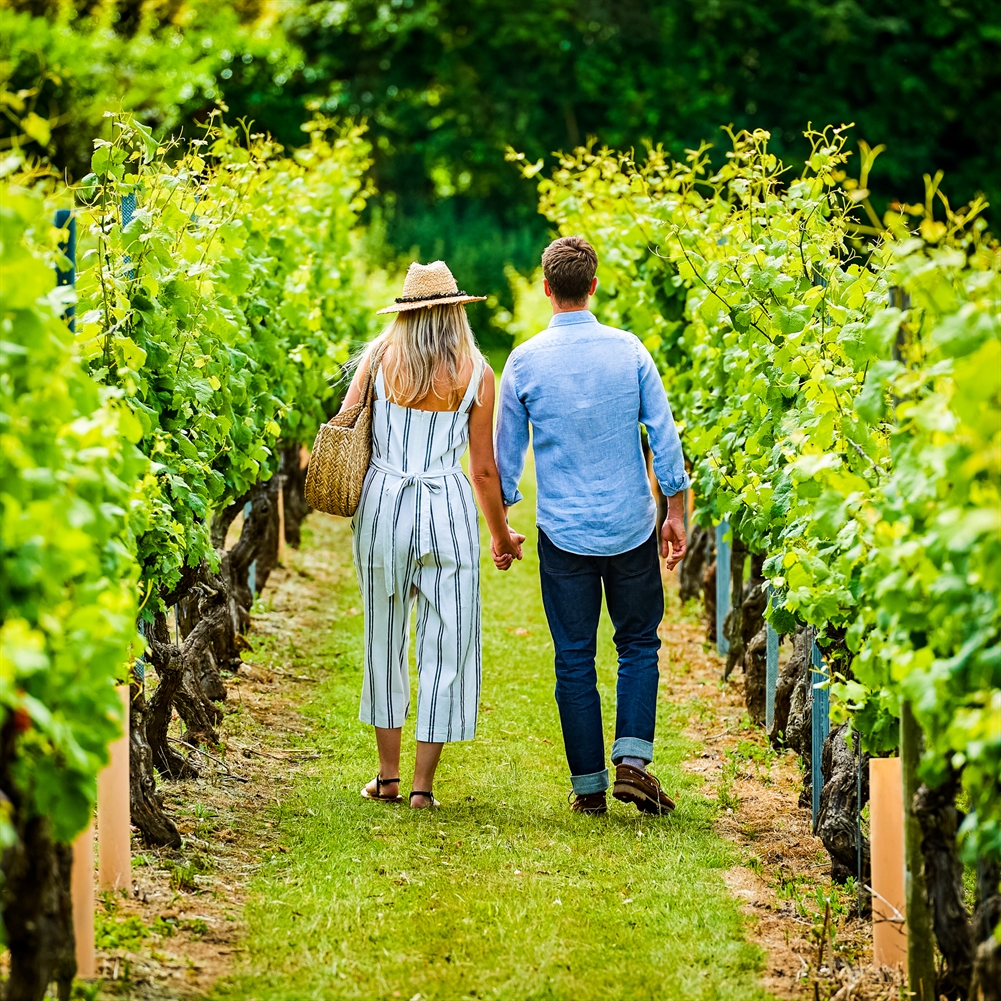 Activity Superstore Tour And Tasting For Two At Chapel Down Vineyard