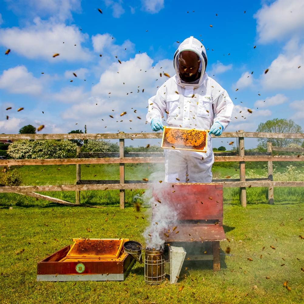 Activity Superstore Half Day Beekeeping Experience For Two At More Bees Please
