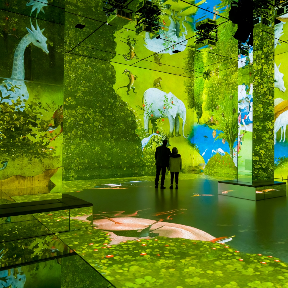 Activity Superstore Frameless Immersive Art Experience & 2 Course Meal