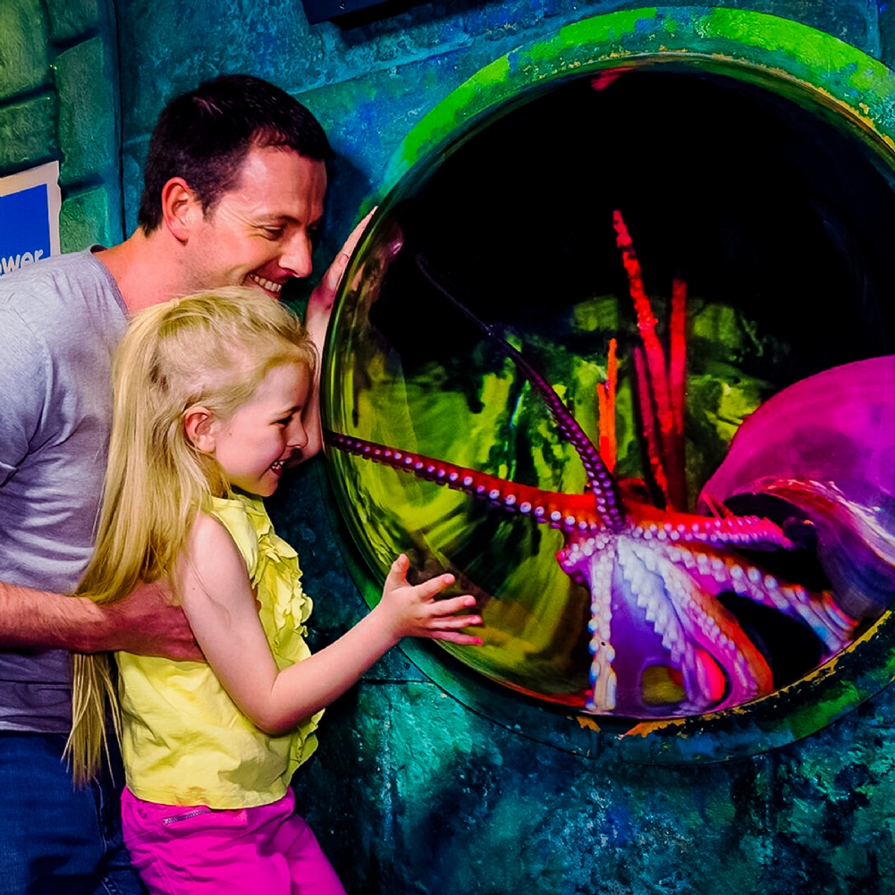 Activity Superstore Family Entrance To Sea Life London Aquarium & Meal At Las Iguanas
