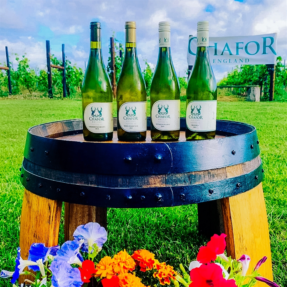 Activity Superstore Vineyard Tour And Tasting At Chafor Wine Estate