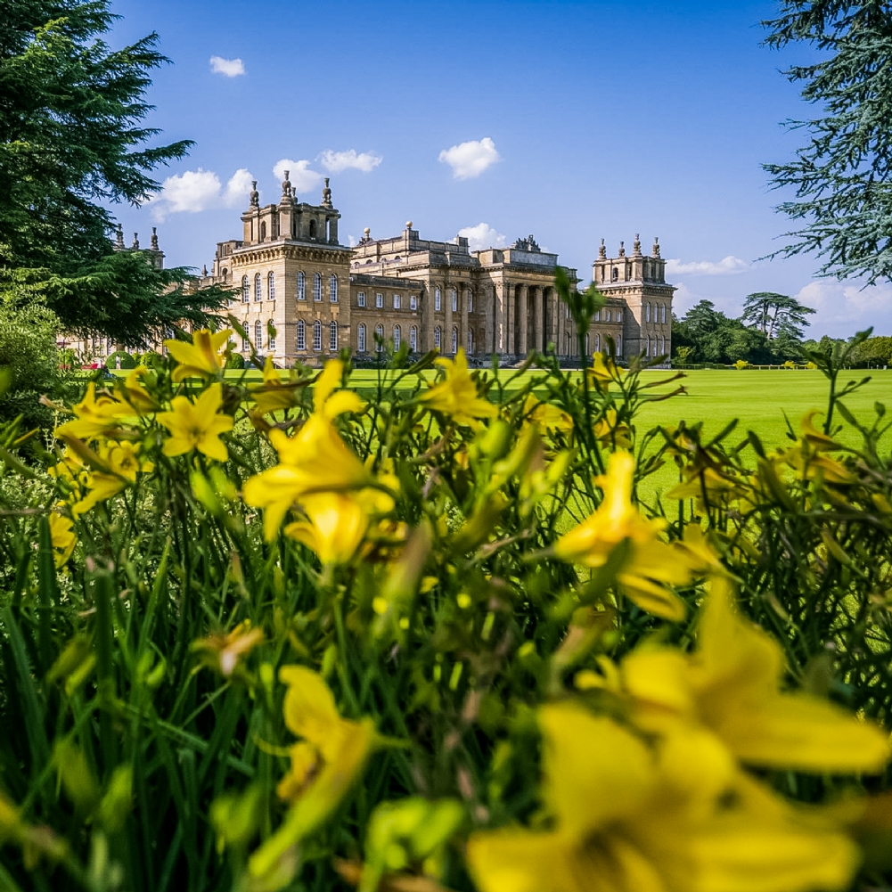 Activity Superstore Entrance To Blenheim Palace & Three Course Lunch At Weston Manor For Two