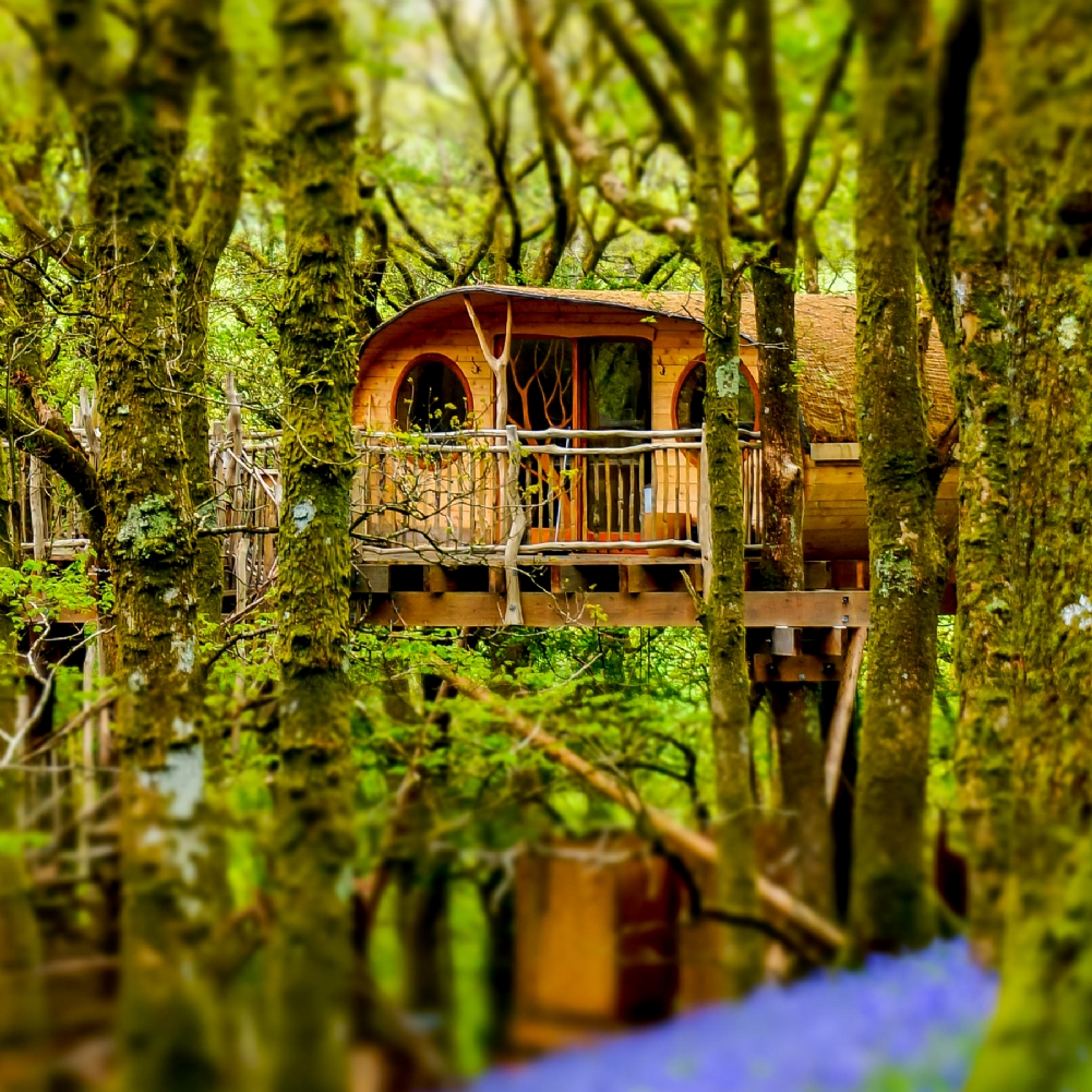 Activity Superstore Two Night Family Tree House Escape