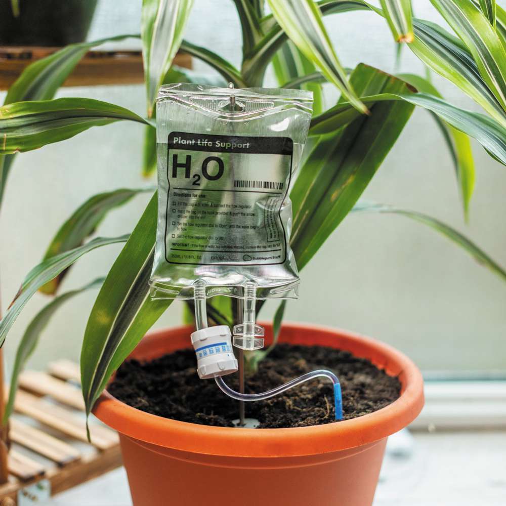 Bubblegum Stuff Ltd Plant Life Support