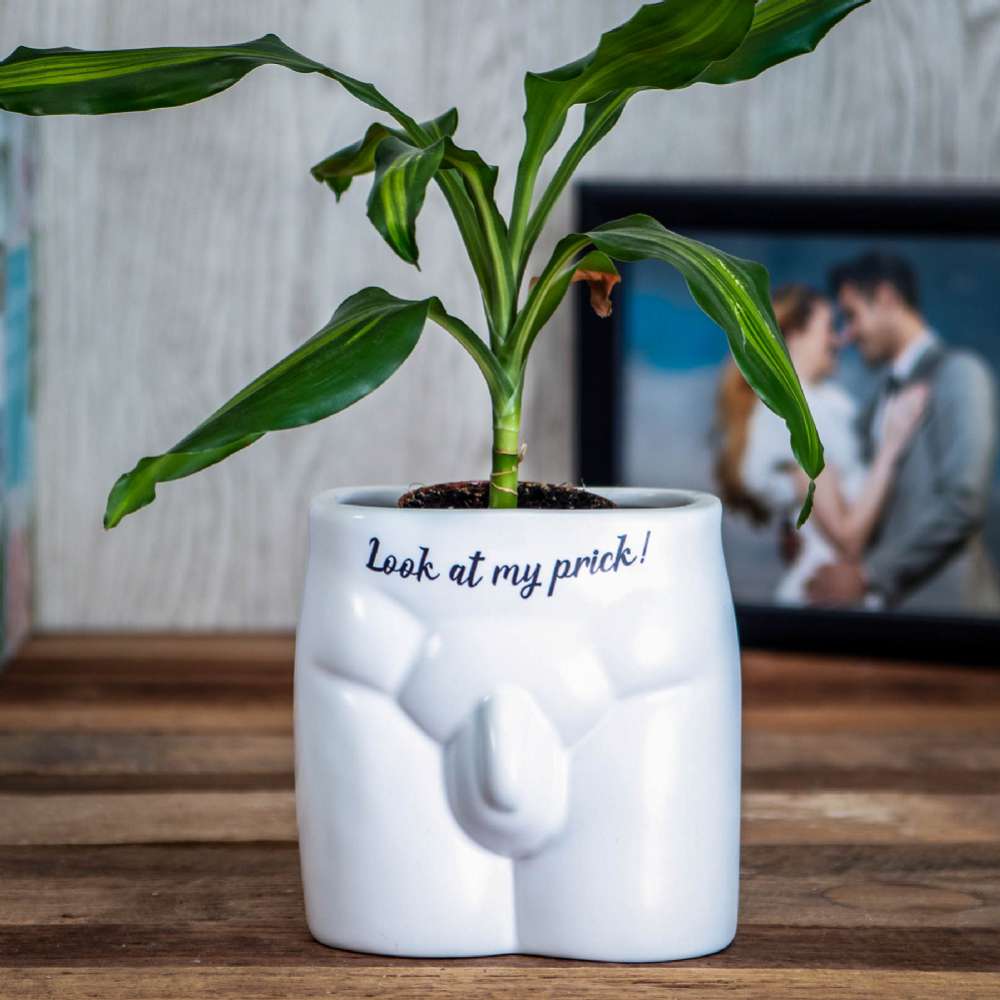 Boxer Games Men's White/Black Look At My Prick Anatomy Plant Pot