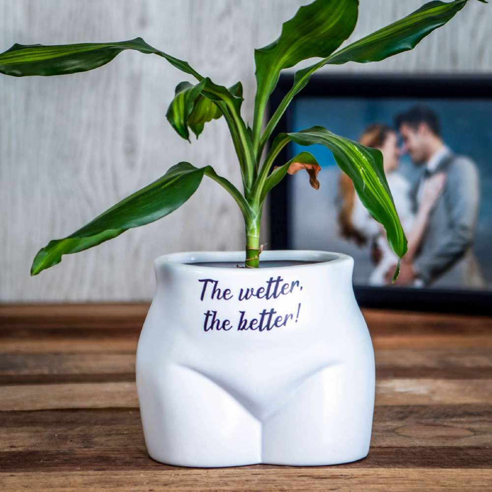 Boxer Games Women's Black The Wetter The Better Body Plant Pot