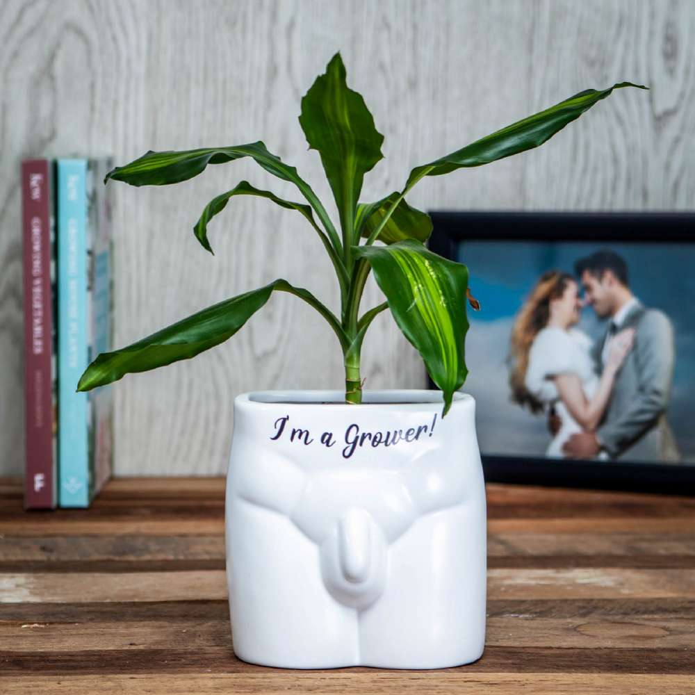Boxer Games Men's Black/White I'm A Grower Anatomy Plant Pot