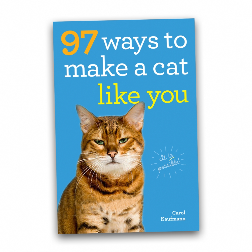 Boxer Games 97 Ways To Make A Cat Like You Book