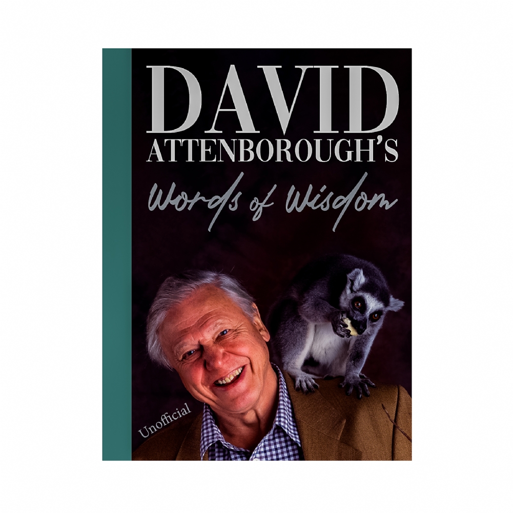 Boxer Games David Attenborough's Words Of Wisdom