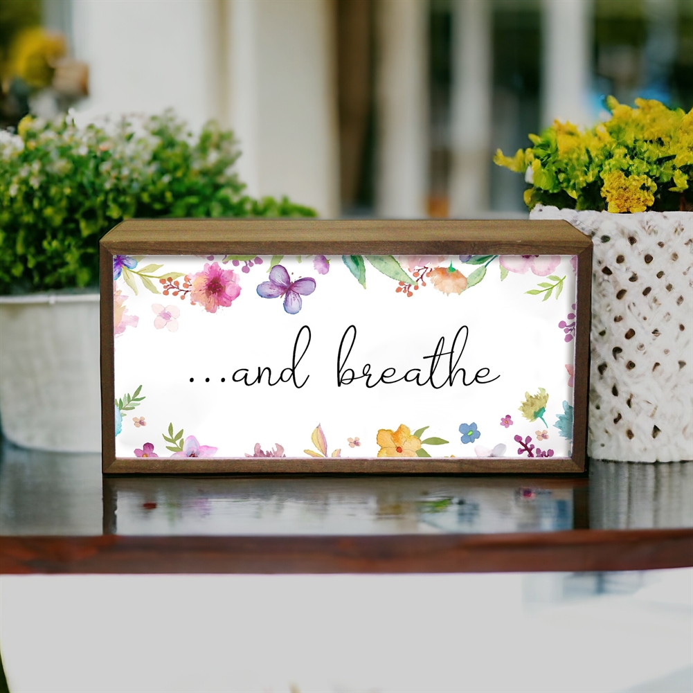 Echo Three Light Cool & Fun Boxes (…And Breathe)