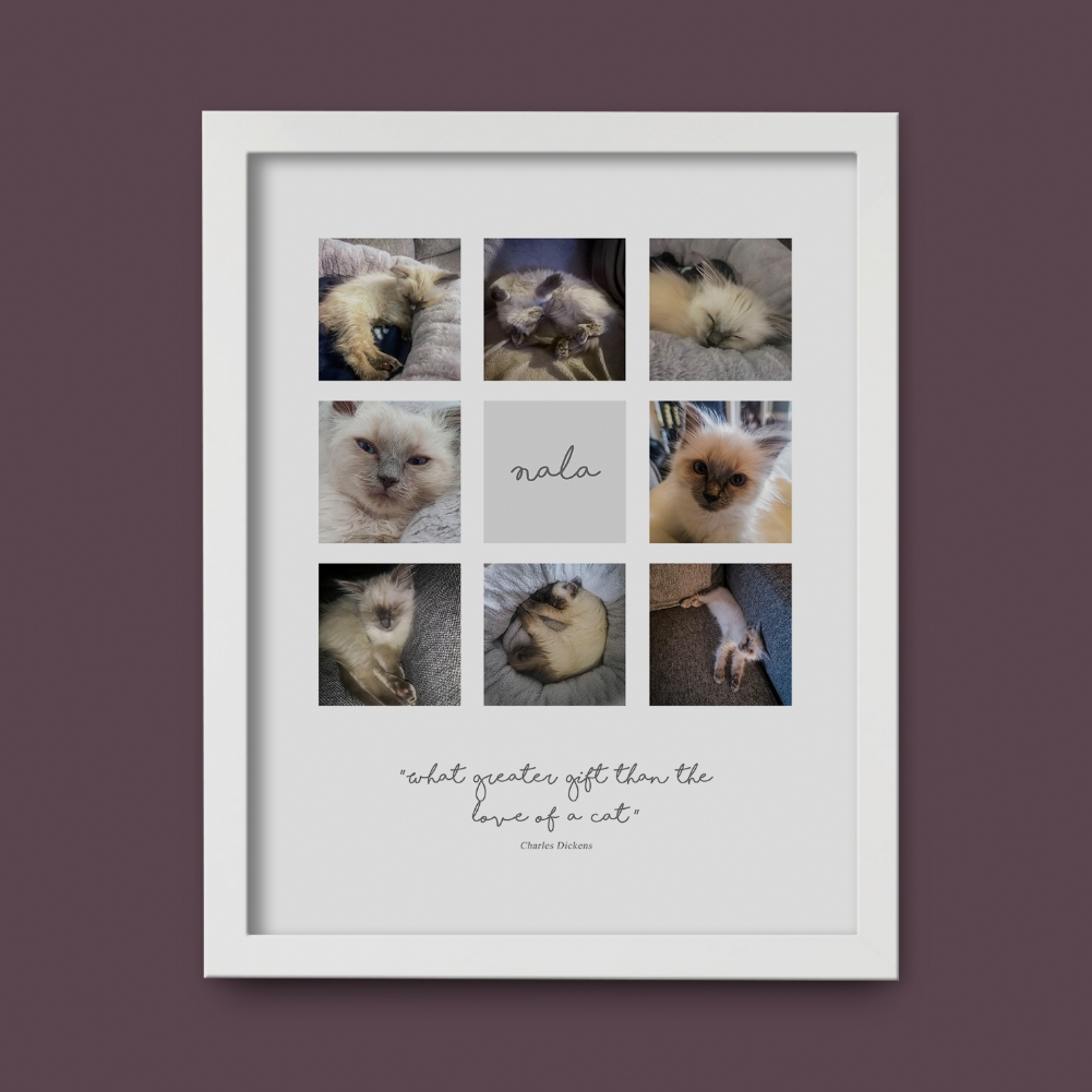 Fmad Pmc White Personalised Cat Multi Photo And Quote Print ( Frame)