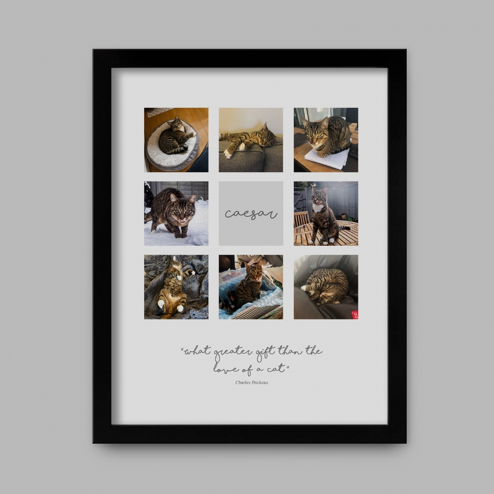Fmad Pmc Black Personalised Cat Multi Photo And Quote Print ( Frame)