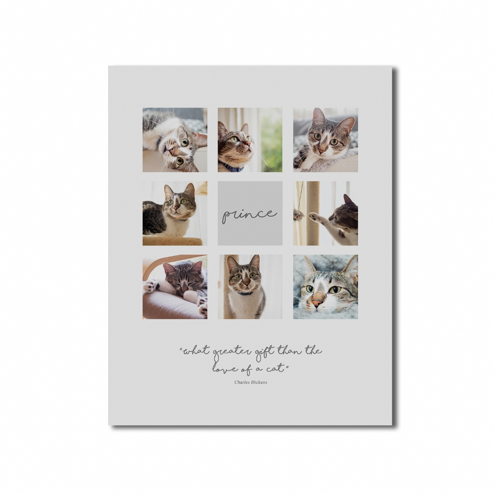 Fmad Pmc Personalised Cat Multi Photo And Quote Print (Poster Only)