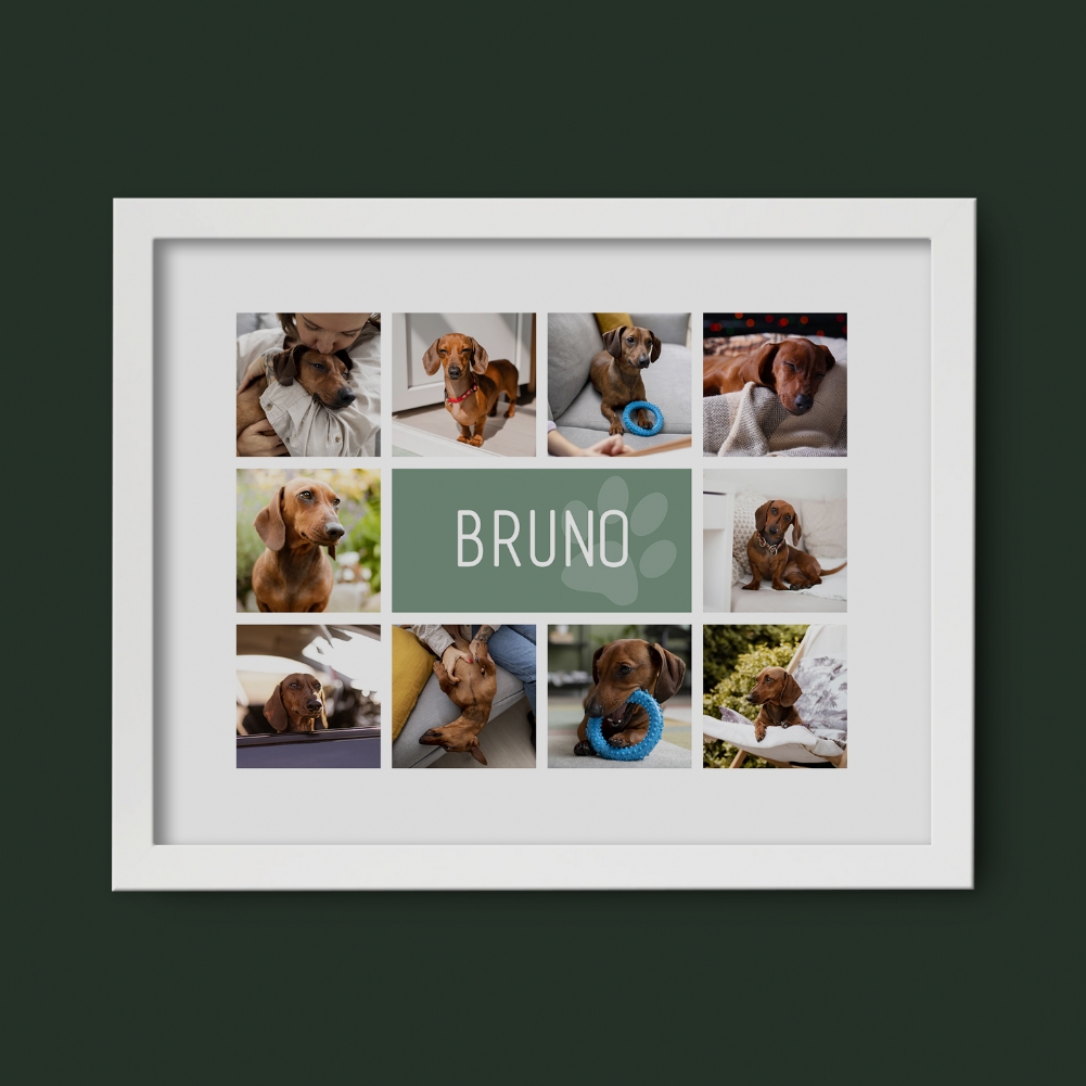 Fmad Pmc White Personalised Dog Photo Collage Print ( Frame)