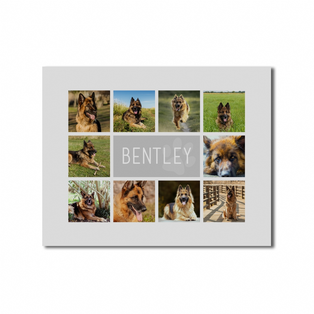 Fmad Pmc Red/Blue/Grey Personalised Dog Photo Collage Print (Poster Only)