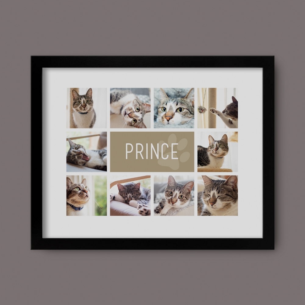 Fmad Pmc Black Personalised Cat Photo Collage Print ( Frame)
