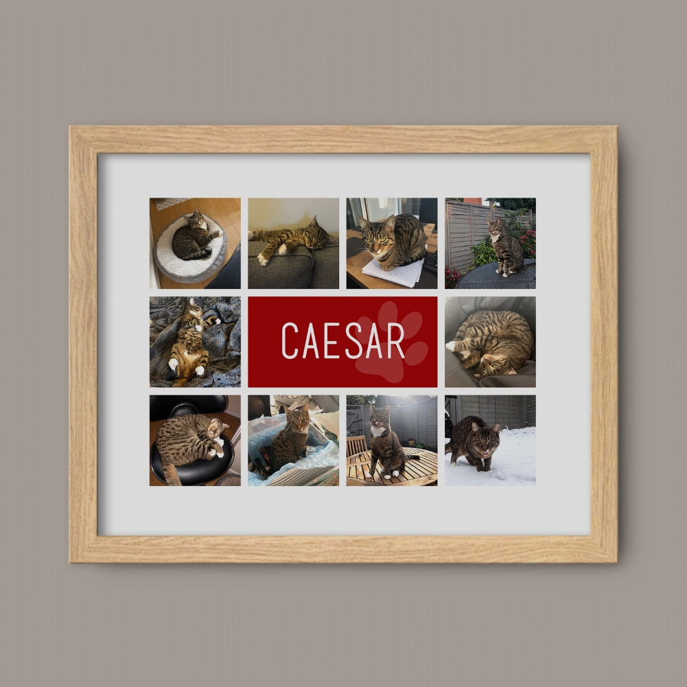 Fmad Pmc Red/Blue/Pink Personalised Cat Photo Collage Print (Oak Frame)