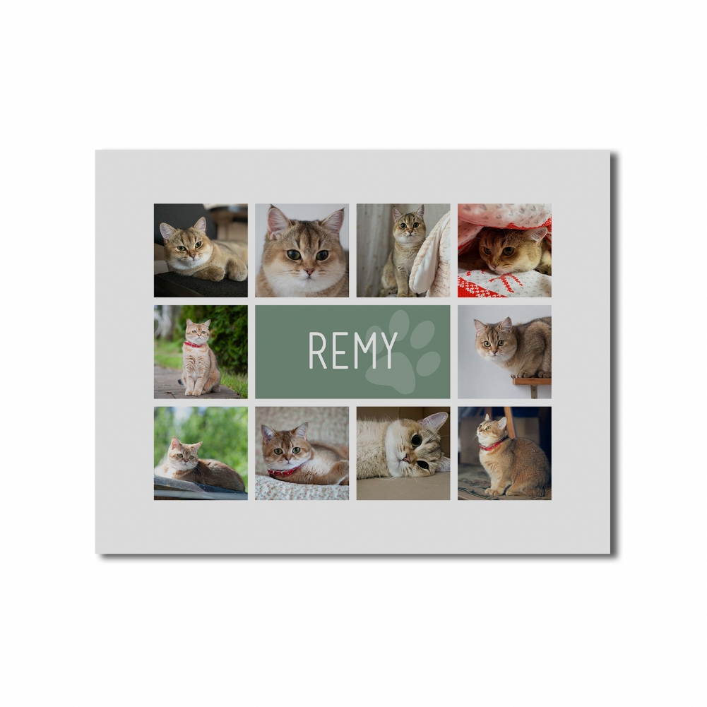 Fmad Pmc Red/Blue/Pink Personalised Cat Photo Collage Print (Poster Only)