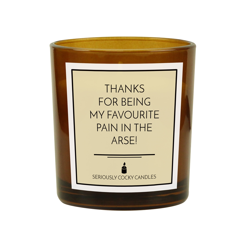 Fmad Pmc Light/Amber Thanks For Being My Favourite Pain In The Arse Candle