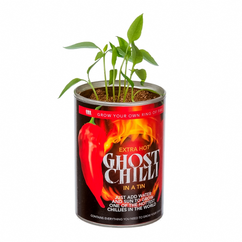 Funtime Gifts Grow Your Own Ghost Chilli