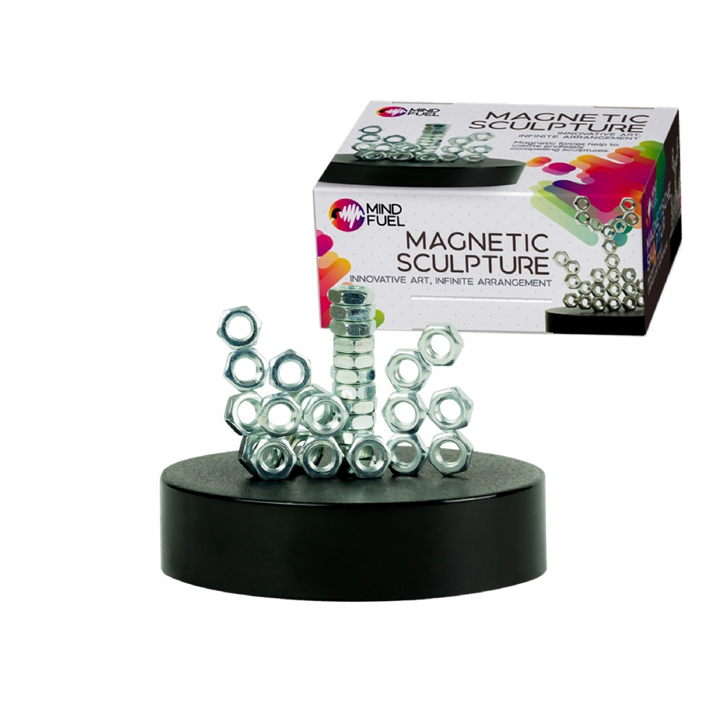 Funtime Gifts Make Your Own Magnetic Sculpture