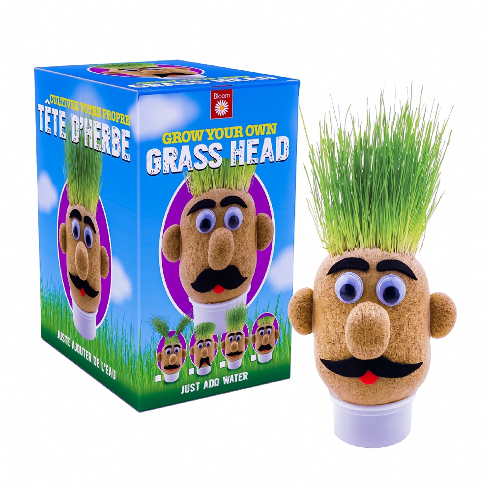 Funtime Gifts Green Grow Your Own Grass Head
