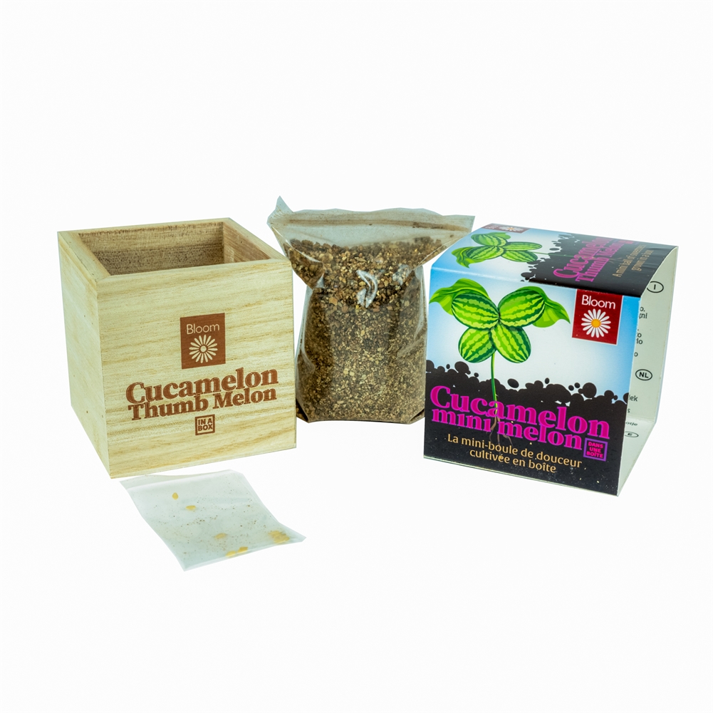 Funtime Gifts Grow Your Own Cucamelon