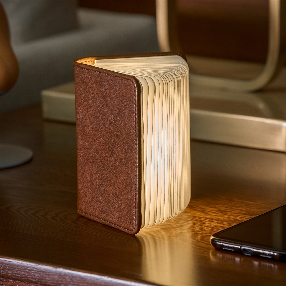 Gingko Electronics Brown Smart Book Lights (Fibre Leather)