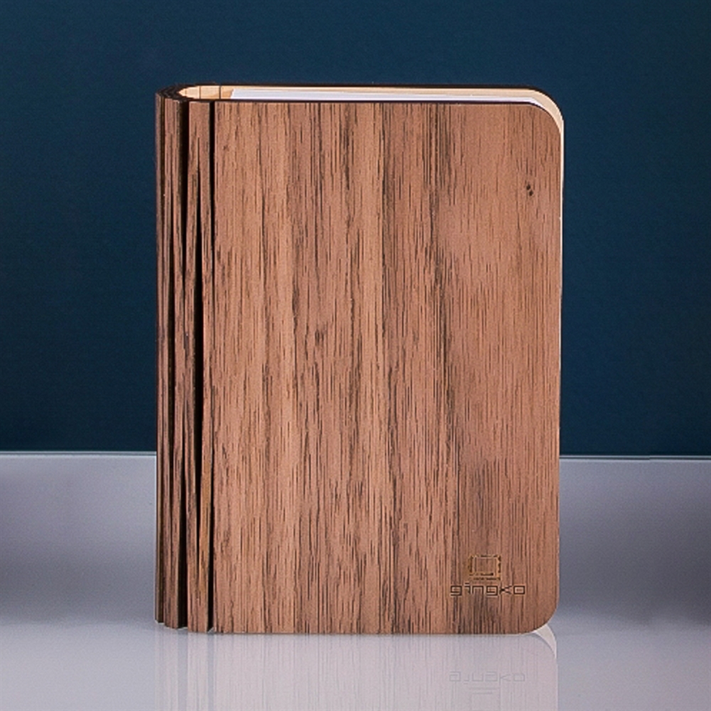 Gingko Electronics Light/White Smart Book S (Natural Walnut Wood)