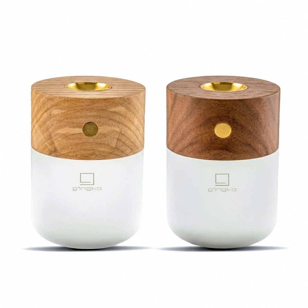 Gingko Electronics Light Gingko Smart Diffuser Lamps