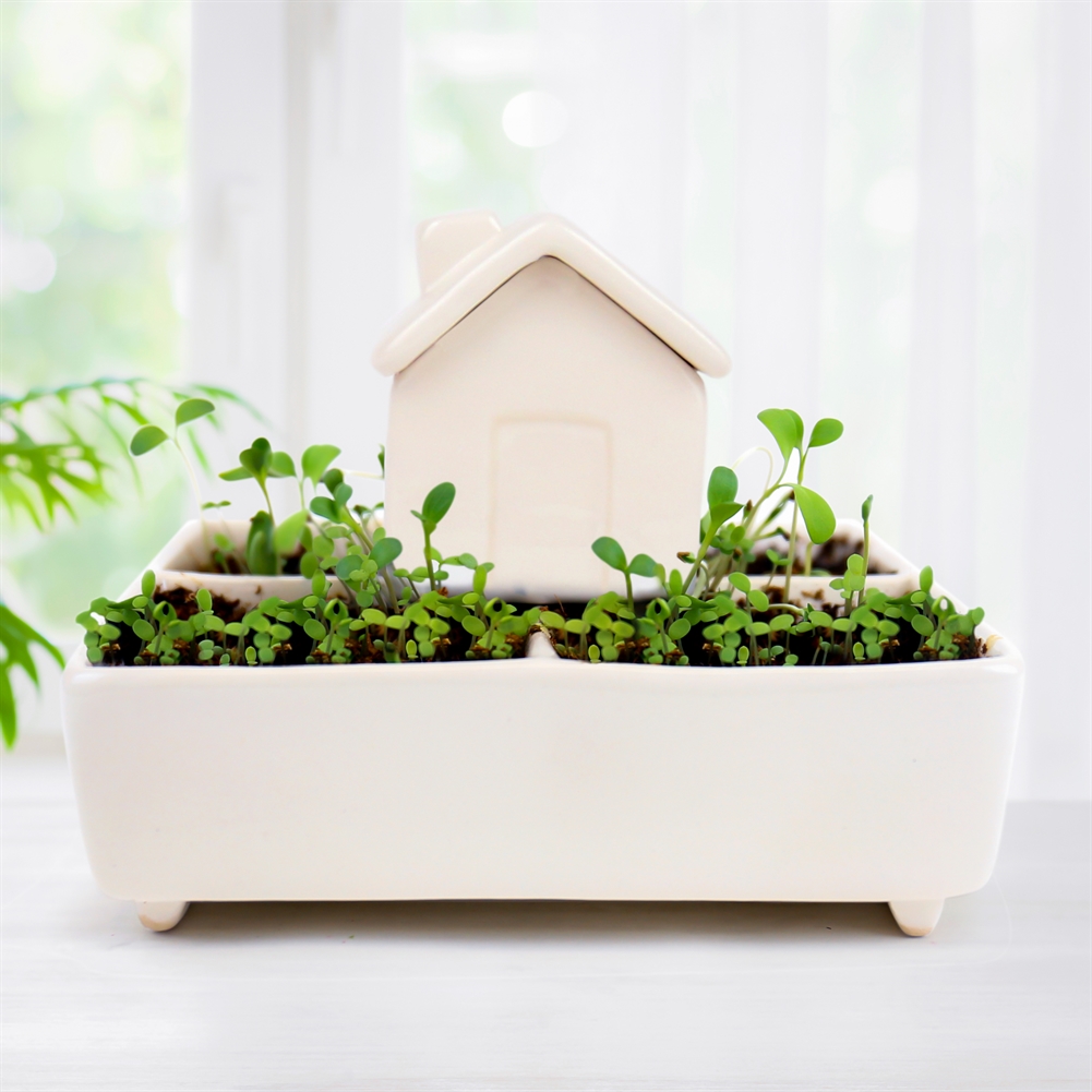 Gift Republic Self Watering Plant House