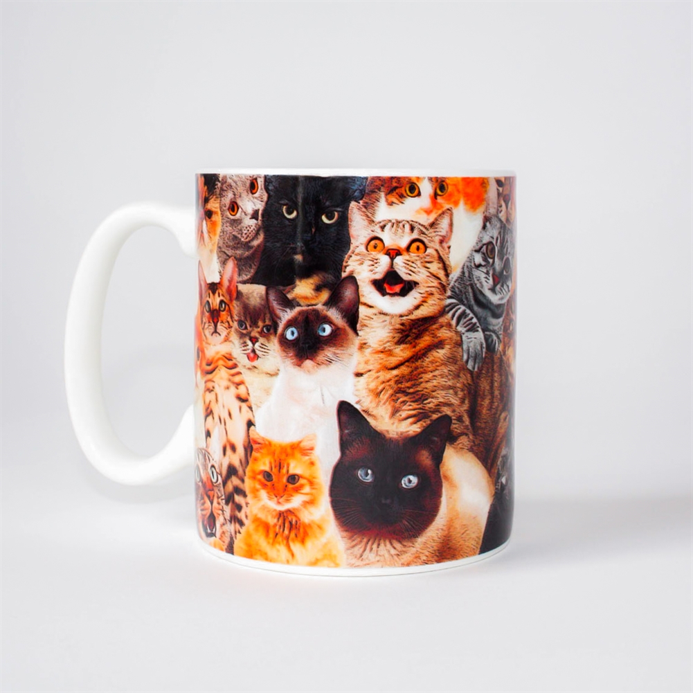 Gift Republic Women's Crazy Cat Lady Mug