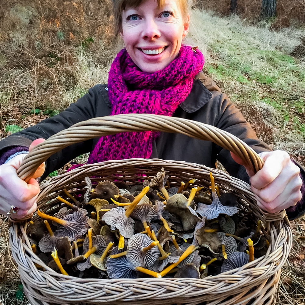 Indytute Green Forage In London - The Edible City (For One)