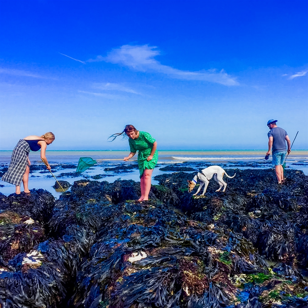 Indytute White Coastal Foraging & Feasting Size 30