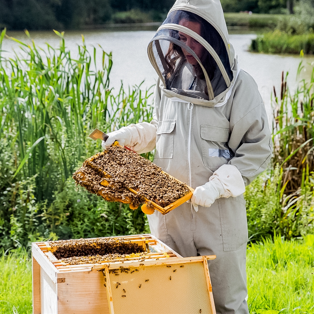 Indytute Hiver's Rural Beekeeping And Beer Tasting For Two