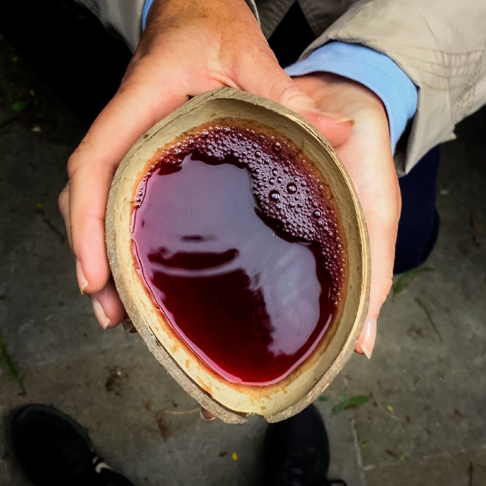Indytute Green/Dark The Medieval Wine Tour London