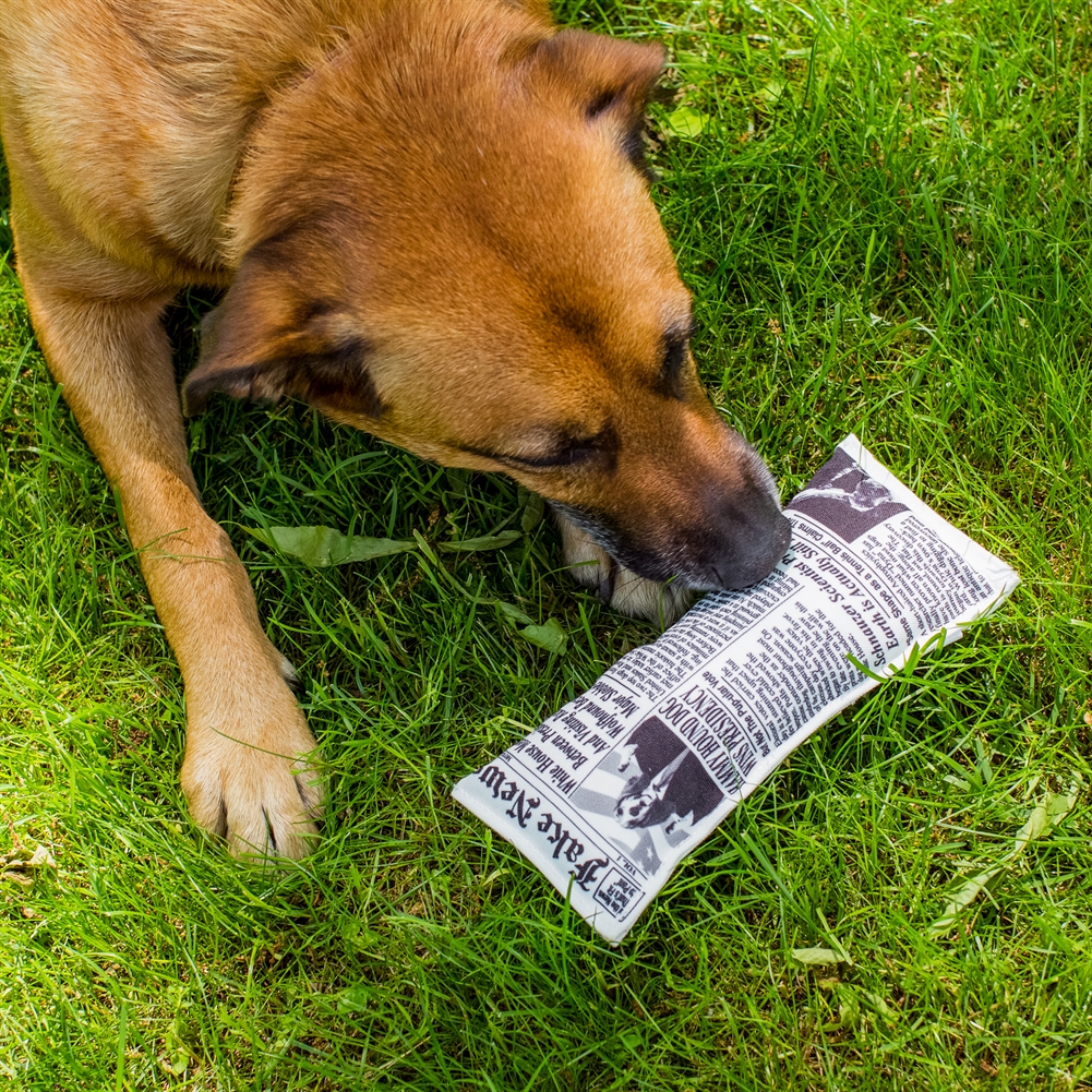 Kikkerland Fake News Dog Toy