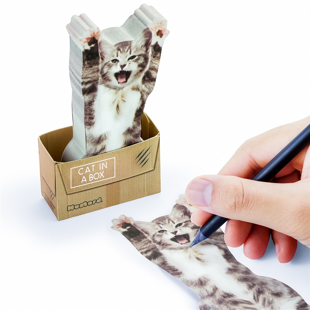 Mustard Cat In A Box - Sticky Notes