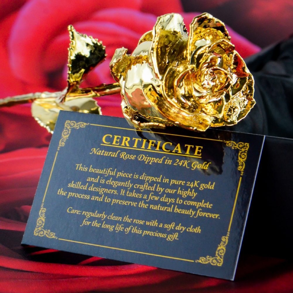 Mikamax Gold 24K Rose