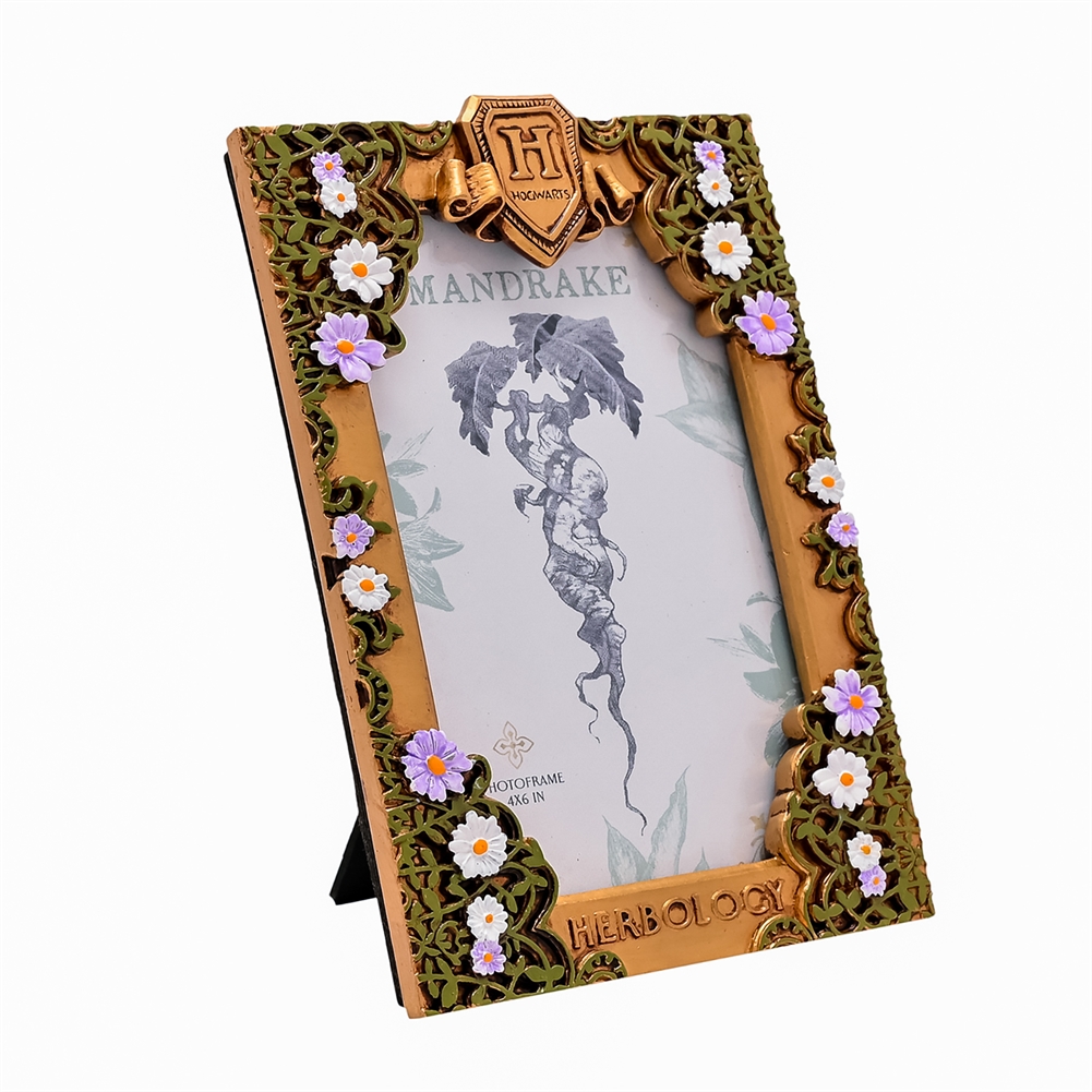 Widdop, Bingham & Co. Ltd Warner Bros Harry Potter Herbology Frame