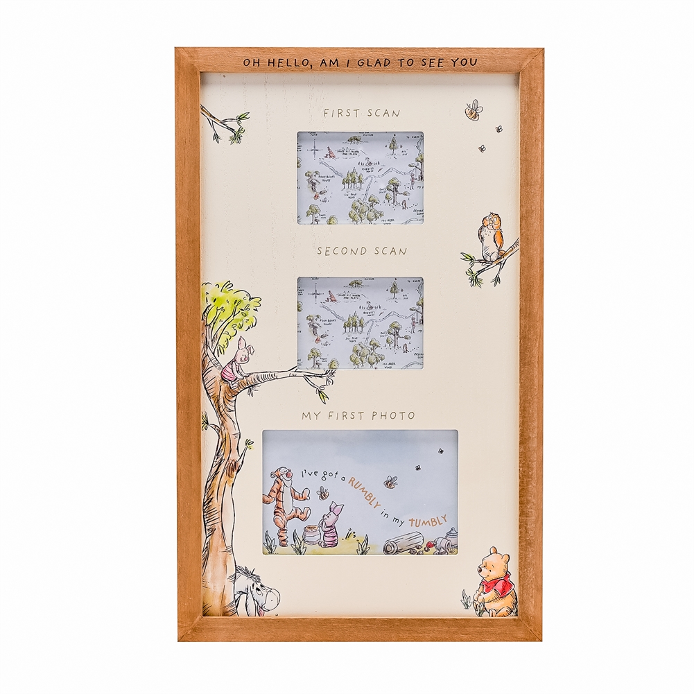 Widdop, Bingham & Co. Ltd Disney Winnie The Pooh Multi Aperture Scan Frame
