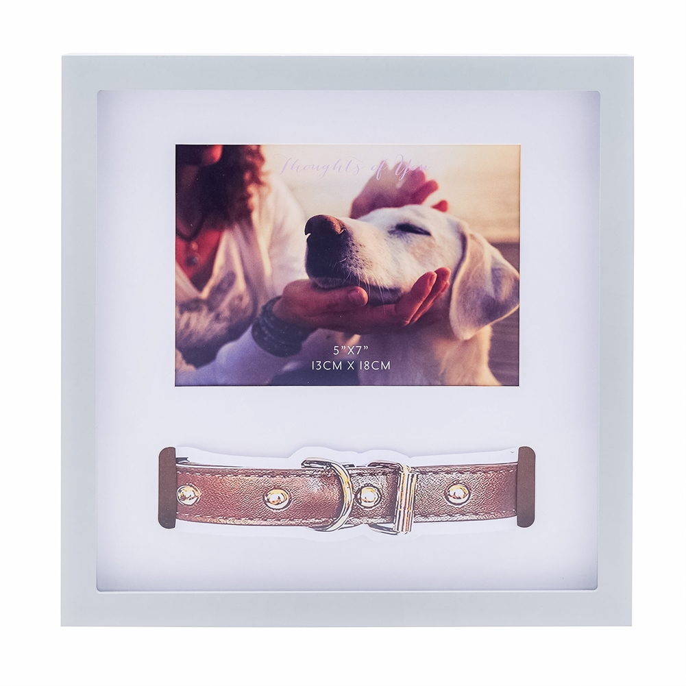 Widdop, Bingham & Co. Ltd Grey Pet Collar Memorial Frame