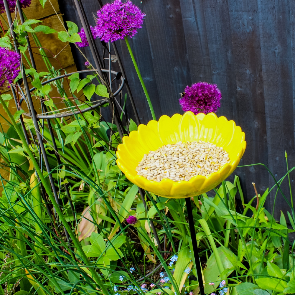 Wildlife World Sunflower Garden Bird Feeder