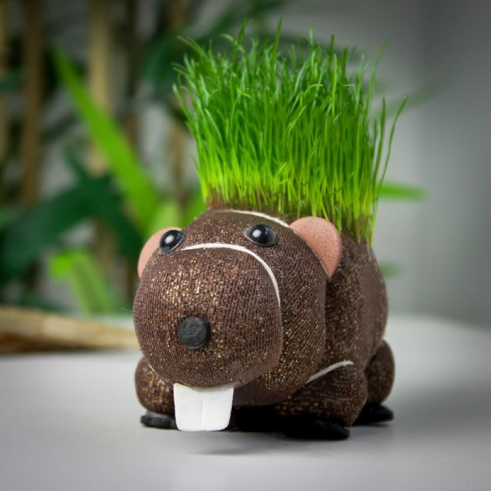 The Diabolical Gift People Llp Grow Your Own Hairy Beaver